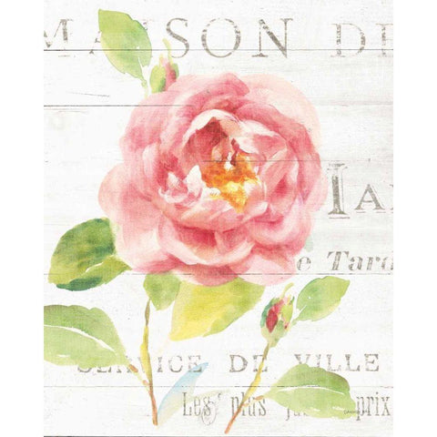 Maison des Fleurs V Gold Ornate Wood Framed Art Print with Double Matting by Nai, Danhui