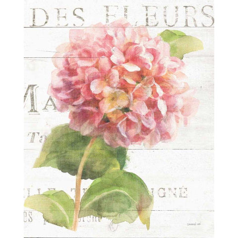 Maison des Fleurs VII Black Modern Wood Framed Art Print with Double Matting by Nai, Danhui