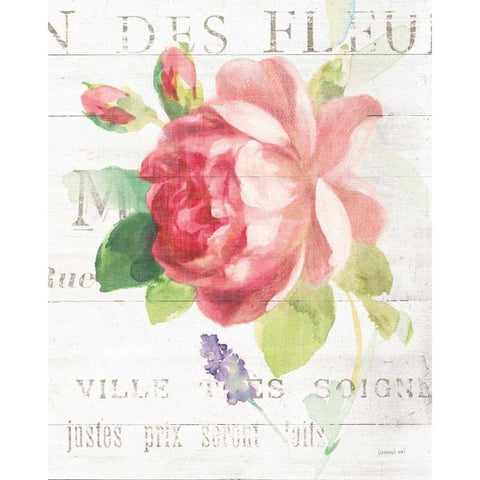 Maison des Fleurs VIII Black Modern Wood Framed Art Print with Double Matting by Nai, Danhui