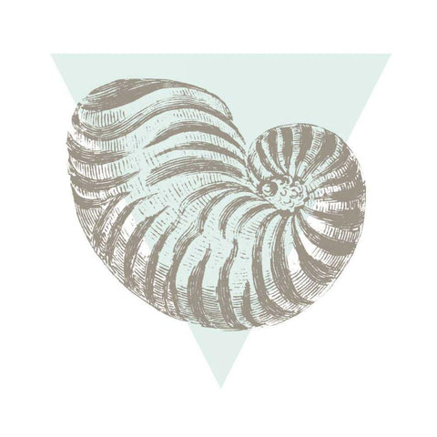 Conchology Sketches II White Modern Wood Framed Art Print with Double Matting by Wild Apple Portfolio