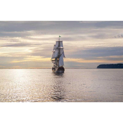 Lady Washington III White Modern Wood Framed Art Print by Majchrowicz, Alan