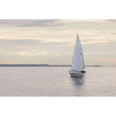 Sailboat in Semiahmoo Bay Black Modern Wood Framed Art Print by Majchrowicz, Alan