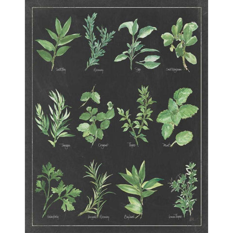 Herb Chart on Black White Border White Modern Wood Framed Art Print by Paschke, Chris