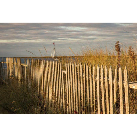 Along the Fence I Gold Ornate Wood Framed Art Print with Double Matting by Aledanda