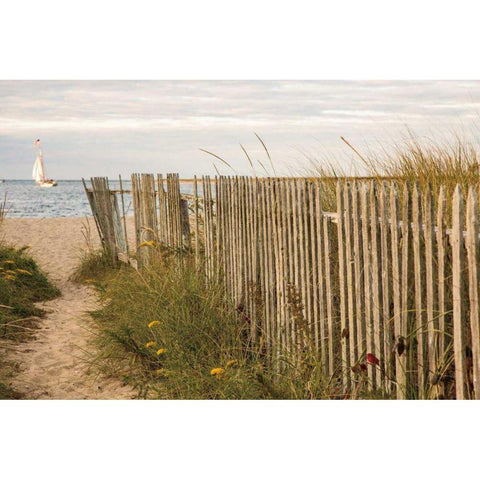 Along the Fence II Gold Ornate Wood Framed Art Print with Double Matting by Aledanda