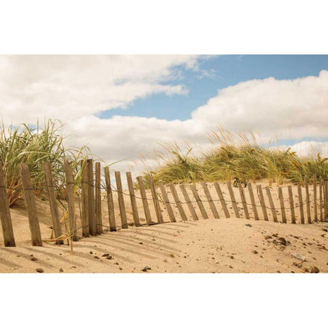 Beach Dunes I Black Modern Wood Framed Art Print with Double Matting by Aledanda