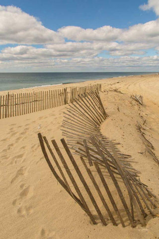 Beach Dunes II White Modern Wood Framed Art Print with Double Matting by Aledanda