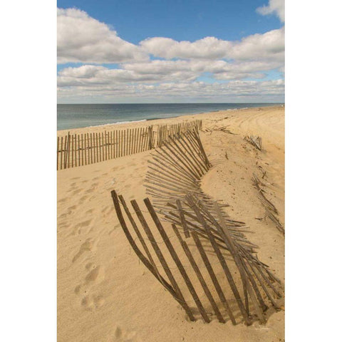 Beach Dunes II White Modern Wood Framed Art Print by Aledanda