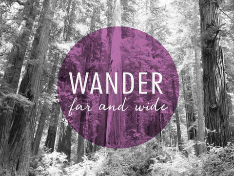 Wander Far and Wide v2 Black Ornate Wood Framed Art Print with Double Matting by Marshall, Laura