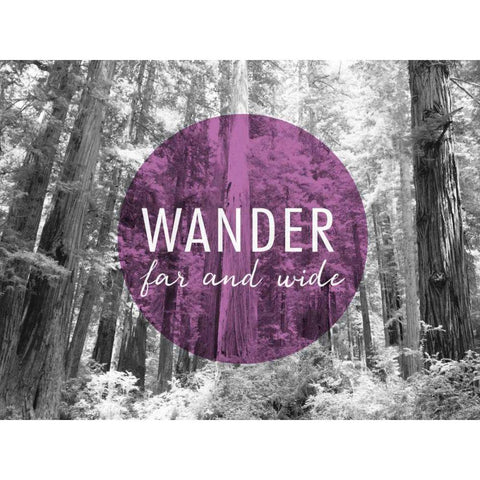 Wander Far and Wide v2 Black Modern Wood Framed Art Print with Double Matting by Marshall, Laura