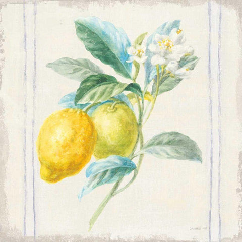 Floursack Lemons II Sq Navy White Modern Wood Framed Art Print with Double Matting by Nai, Danhui