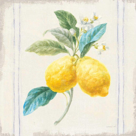 Floursack Lemons III Sq Navy Gold Ornate Wood Framed Art Print with Double Matting by Nai, Danhui