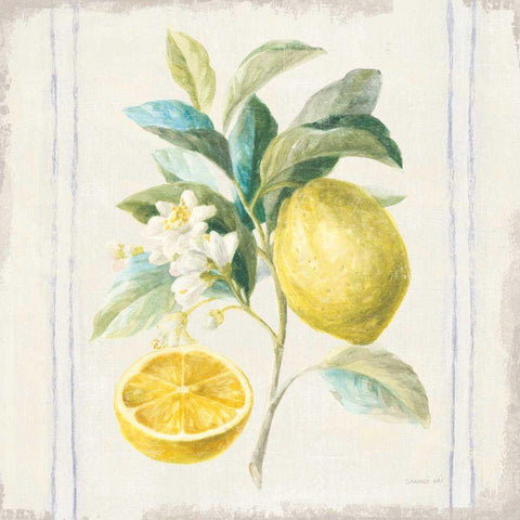 Floursack Lemons IV Sq Navy White Modern Wood Framed Art Print by Nai, Danhui