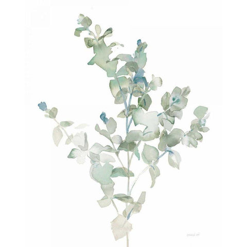 Eucalyptus II Cool White Modern Wood Framed Art Print by Nai, Danhui