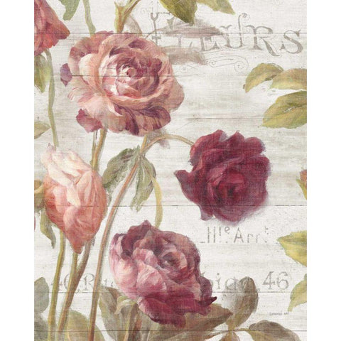 French Roses II Black Modern Wood Framed Art Print with Double Matting by Nai, Danhui