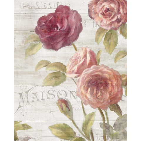 French Roses III Black Modern Wood Framed Art Print with Double Matting by Nai, Danhui