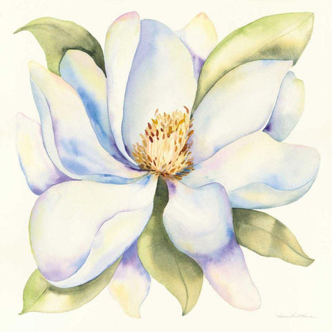 Magnolia Black Ornate Wood Framed Art Print with Double Matting by McKenna, Kathleen Parr