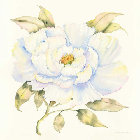 Peony Black Ornate Wood Framed Art Print with Double Matting by McKenna, Kathleen Parr