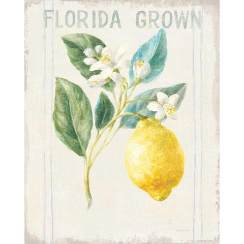 Floursack Lemon I v2 White Modern Wood Framed Art Print by Nai, Danhui