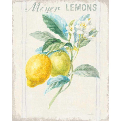 Floursack Lemon II v2 White Modern Wood Framed Art Print by Nai, Danhui