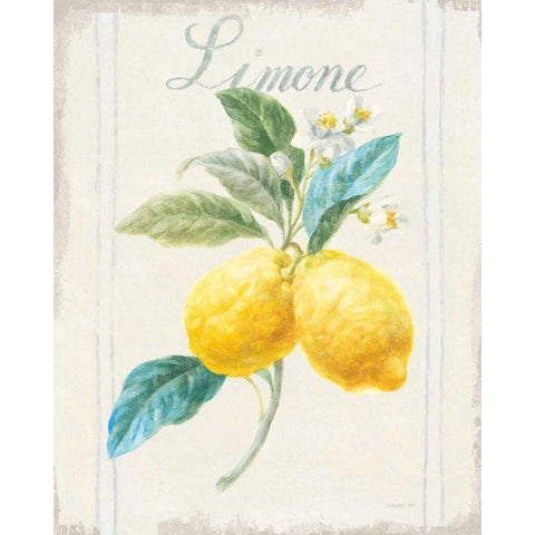 Floursack Lemon III v2 Black Modern Wood Framed Art Print with Double Matting by Nai, Danhui