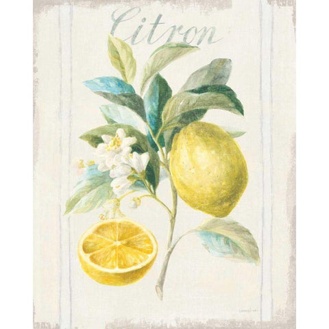 Floursack Lemon IV v2 Black Modern Wood Framed Art Print with Double Matting by Nai, Danhui