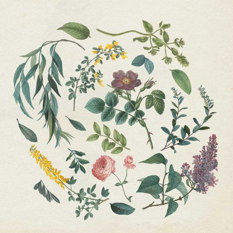 Victorian Garden I White Modern Wood Framed Art Print with Double Matting by Wild Apple Portfolio