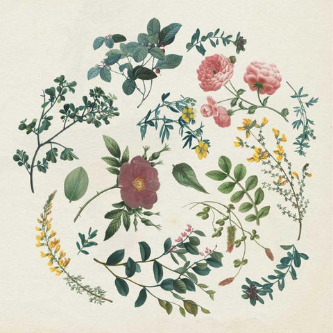 Victorian Garden II White Modern Wood Framed Art Print with Double Matting by Wild Apple Portfolio