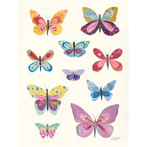 Butterfly Charts II White Modern Wood Framed Art Print by Prahl, Courtney