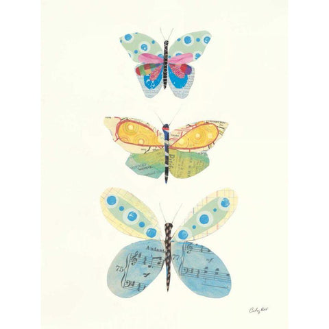 Butterfly Charts IV Black Modern Wood Framed Art Print with Double Matting by Prahl, Courtney