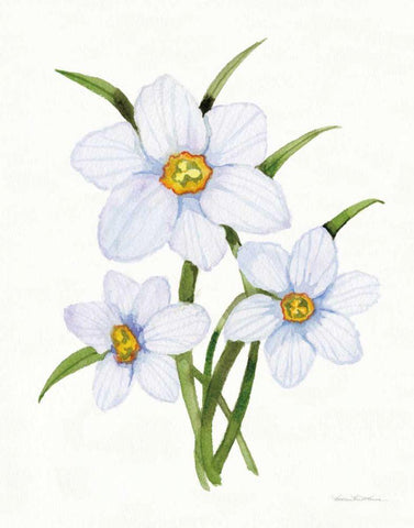 Easter Blessing Flowers I White Modern Wood Framed Art Print with Double Matting by McKenna, Kathleen Parr