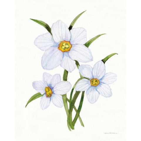 Easter Blessing Flowers I Black Modern Wood Framed Art Print by McKenna, Kathleen Parr