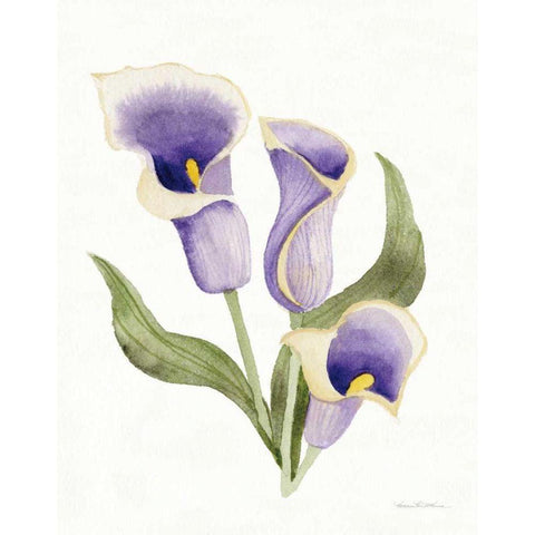 Easter Blessing Flower III Black Modern Wood Framed Art Print by McKenna, Kathleen Parr