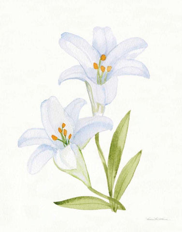 Easter Blessing Flowers IV White Modern Wood Framed Art Print with Double Matting by McKenna, Kathleen Parr