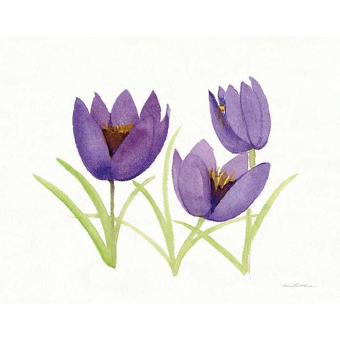 Easter Blessing Flowers VII White Modern Wood Framed Art Print by McKenna, Kathleen Parr