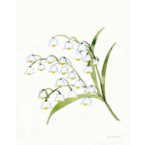Easter Blessing Flower X Black Modern Wood Framed Art Print with Double Matting by McKenna, Kathleen Parr