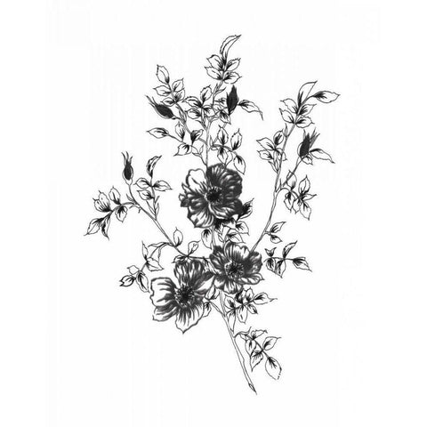 Sketchbook Flowers on White II Black Modern Wood Framed Art Print with Double Matting by Wild Apple Portfolio