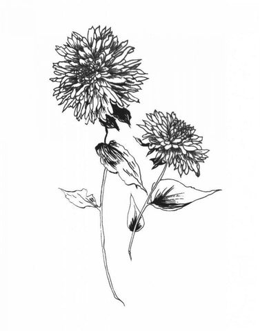 Sketchbook Flowers on White IV White Modern Wood Framed Art Print with Double Matting by Wild Apple Portfolio