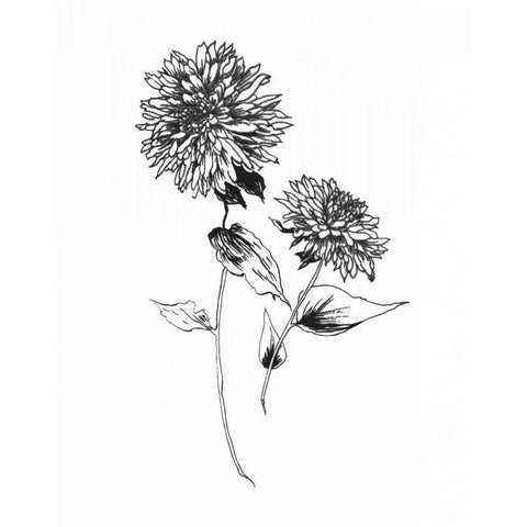 Sketchbook Flowers on White IV Gold Ornate Wood Framed Art Print with Double Matting by Wild Apple Portfolio