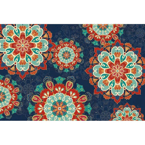 Folk Floral VIII Dark Black Modern Wood Framed Art Print with Double Matting by Charron, Veronique