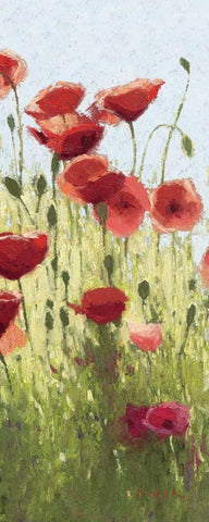 Mountain Poppies I - Wag Black Ornate Wood Framed Art Print with Double Matting by Novak, Shirley