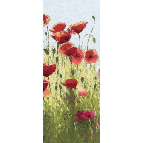 Mountain Poppies I - Wag Black Modern Wood Framed Art Print by Novak, Shirley