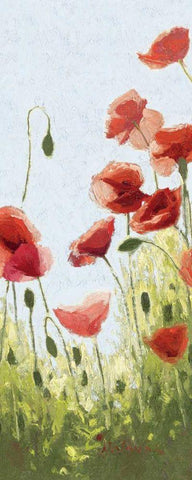 Mountain Poppies II - Wag White Modern Wood Framed Art Print with Double Matting by Novak, Shirley