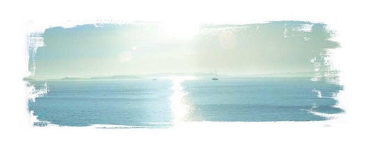 Image Only