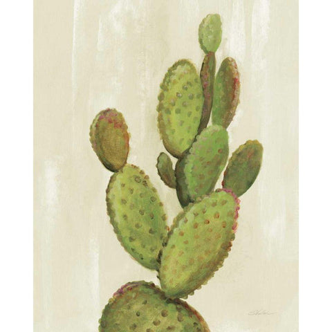 Front Yard Cactus I Black Modern Wood Framed Art Print with Double Matting by Vassileva, Silvia