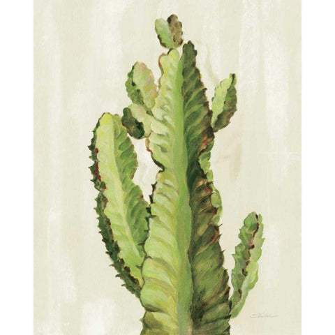 Front Yard Cactus II White Modern Wood Framed Art Print by Vassileva, Silvia