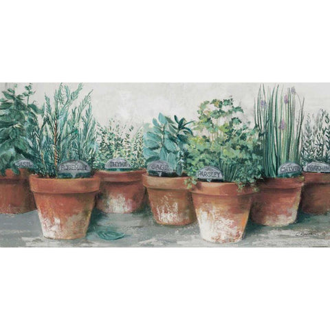 Pots of Herbs II Cottage White Modern Wood Framed Art Print by Rowan, Carol