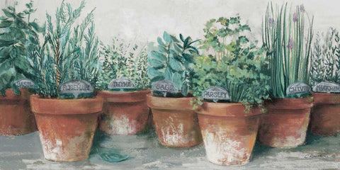 Pots of Herbs II Cottage Black Ornate Wood Framed Art Print with Double Matting by Rowan, Carol