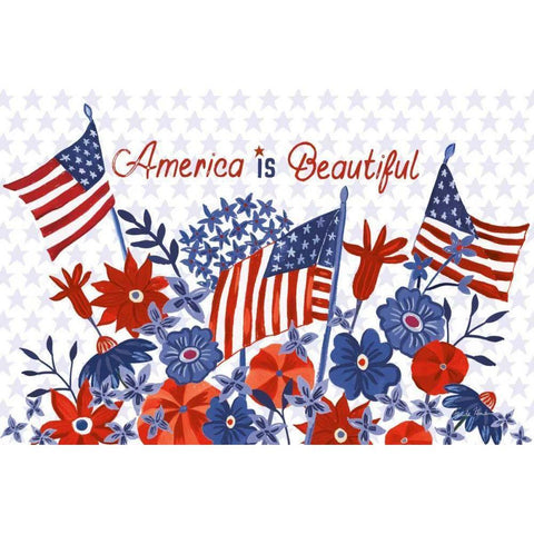 America the Beautiful I Black Modern Wood Framed Art Print with Double Matting by Zaman, Farida