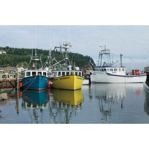 Bay of Fundy II White Modern Wood Framed Art Print by Majchrowicz, Alan